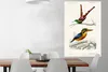 MuchoWow® Poster Vogel - Vintage - Zweig 80x120 cm - Produktbild-Vorschau 2
