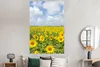 MuchoWow® Poster Sonnenblumen - Blumen - Wolken - Natur - Produktbild-Vorschau 4