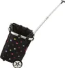 Reisenthel Carrycruiser dots Produktbild-Vorschau 19