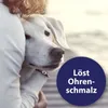 Canosept Ohrreiniger 125 ml Produktbild-Vorschau 3