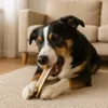 mascota vital - Hirschgeweih - 100% Hirschgeweih - Ideal Produktbild-Vorschau 5