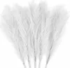 Künstliche Pampasgras,Kunstpflanze, 8Pcs 80cm, Flauschig Produktbild-Vorschau 1