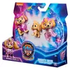 PAW Patrol PAW RLP Skye Figure Pack INTL PPTMM GML, 3 rok / Náhľad obrázku produktu 11