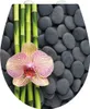 A toilet seat with a spa-themed design featuring bamboo stalks, an orchid, and smooth stones. Produktbild-Vorschau