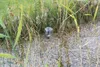 Oase PondoSolar 600 Control Springbrunnenpumpe mit Produktbild-Vorschau 3