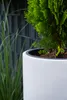 VIVANNO Vase de sol en fibre de verre SOLERIO Rond, blanc Voir les images du produit 8