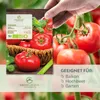 Graines de tomates(Berner Rose, 10 graines) - Graines de Voir les images du produit 2
