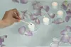Teelichte Nightlight Parafin überdurchschnittliche Produktbild-Vorschau 11