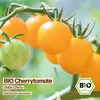 Samenliebe  Tomate Samen | Gelbe Cherry - gelb & süß - Produktbild-Vorschau 4