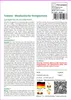 SAFLAX Geschenk Set - Tomate - Mexikanische Honigtomate - Produktbild-Vorschau 3