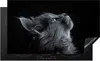 KitchenYeah© Herdabdeckplatte Katze - Licht - Schwarz , Produktbild-Vorschau 1