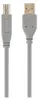 gembird USB 2.0 Kabel mit Am- und BM-Stecker, 1,8m, grau Anteprima dell’immagine prodotto 1