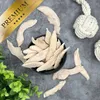5 kg (25 x 200 g) Lyra Pet® Entenbrust gefriergetrocknet Produktbild-Vorschau 6
