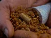 Tandem Baits Carp Food PVA Booster Super Erdbeere, Produktbild-Vorschau 14