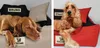 Legowisko dla psa kojec KINGDOG 100x75 cm personalizowane Podgląd zdjęcia produktu 11