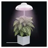 LED GROW pěstební lampa 5 W, časovač, bílá Náhľad obrázku produktu