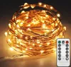 A coiled string of warm white LED lights with a remote control. Produktbild-Vorschau