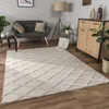 A living room scene with a rug, sofa, cabinet, and plants. Anteprima dell’immagine prodotto