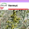 SAFLAX - vermut - Artemisia absinthum - 500 Semena Náhled obrázku produktu 10