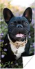 MuchoWow® Poster Blumen - Tier - Lila 20x40 cm - Plakat - Produktbild-Vorschau 1