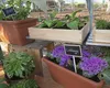 Szklarnia Palram - Canopia Balance 8x12 z ramą fundamentową Podgląd zdjęcia produktu 8