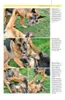Ausdrucksverhalten beim Hund Produktbild-Vorschau 5