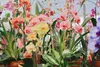 Orchidea Tekuté Hnojivo 3x1 L – 3-4-3 NPK – Pro Orchidey – Náhled obrázku produktu 9