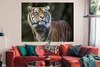 MuchoWow® Poster Tiger - Dschungel - Mantel 160x120 cm - Produktbild-Vorschau 3