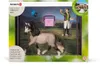 Schleich - Tierfiguren, Pferdepflegeset, Andalusier; 42270 Produktbild-Vorschau 1