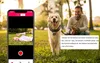 A man and his dog in a park, with a smartphone showing a camera app. Produktbild-Vorschau