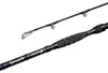 DELPHIN HAZARD Darx, 3,1 m, 10,17 ft, 0-500 g, 2 brins, Voir les images du produit 1
