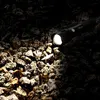 A black flashlight is illuminating a pile of rocks in the dark. Náhled obrázku produktu