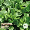 Samenliebe  Feldsalat Samen | Verte de Cambrai - winterhart Produktbild-Vorschau 4