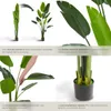 Arbre oiseau du paradis TROPIC - 180 cm Voir les images du produit 4