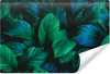 Muralo Vlies Fototapete TROPISCHE BLÄTTER Pflanzen Natur 3D Produktbild-Vorschau 1