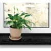 Klebefolie Möbel 67x25 cm - Granit Schwarz - Möbelfolie Produktbild-Vorschau 5