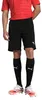 Puma Teamrise Shorts Herren - Schwarz Produktbild-Vorschau 7
