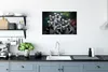 MuchoWow® Poster Affen - Tiere - Ringelschwanzlemuren 90x60 Produktbild-Vorschau 3