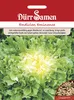 Dürr-Samen - Winter-Endivien Eminence - Saatgut - 1045 Produktbild-Vorschau 3