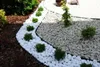 Ghiaia decorativa per acquario e giardino, ciottoli greci Anteprima dell’immagine prodotto 4