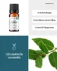 Lorbeer (10ml) - naturreines, ätherisches Öl von Produktbild-Vorschau 2