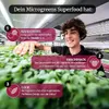 LERAVA® x Profarms Zmes mikrozeleniny  – sada 6 balení Náhľad obrázku produktu 2