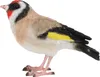 Esschert Design | Gartenfiguren - Vogel - 12 x 8,5 cm - Produktbild-Vorschau 9