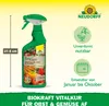 Neudorff BioKraft Vitalkur AF für Buxus & Ilex 500ml Produktbild-Vorschau 3