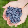 Lonicera caerulea Kamtschatica resistente al freddo 3 Anteprima dell’immagine prodotto 5
