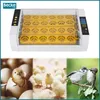 A collage showing an incubator, chicks hatching from eggs, and young chicks, with two sparrows on a branch. Podgląd zdjęcia produktu