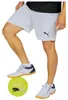 Puma Teamrise Kurze Hose Weiß L Mann Weiß L Produktbild-Vorschau 3