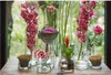 Dekoglas, Vase ZYLINDER H. 19cm D. 9cm transparent rund Produktbild-Vorschau 5