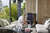 Garantia Regentonne Ibiza eckig inkl. Deckel & Hahn 200 L Produktbild-Vorschau 4