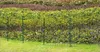 HC Garten & Freizeit Teichzaun Oberbogen Komplettset Produktbild-Vorschau 3